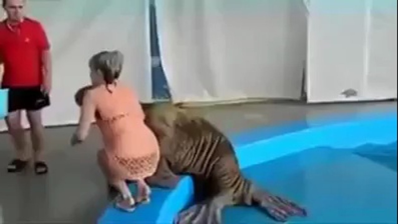 Vay çakal vay