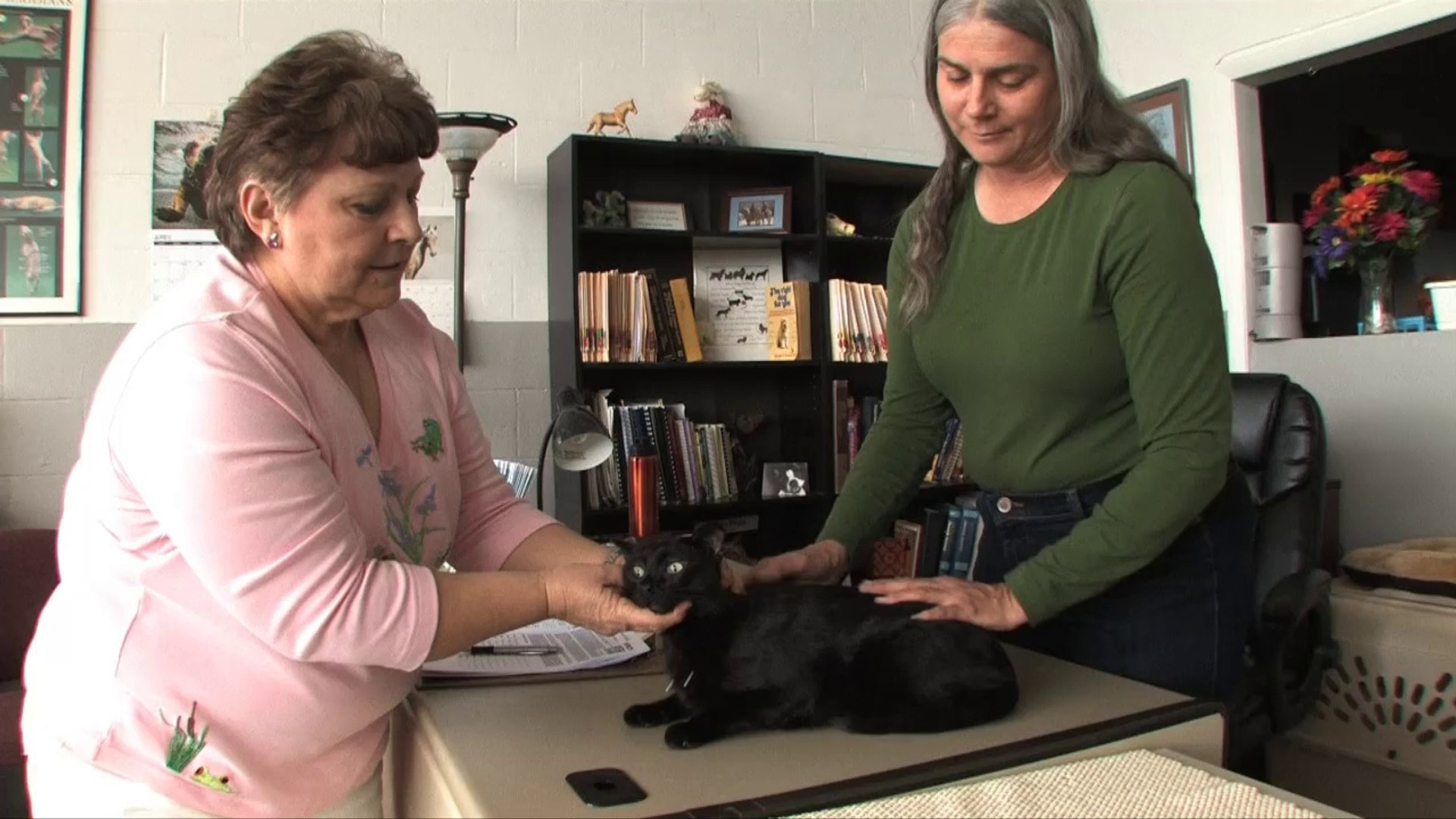 ⁣Welcome to Ten Mile Hoslitic Veterinary Care