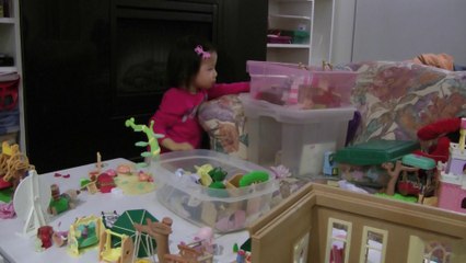 Girl And Sylvanian Families