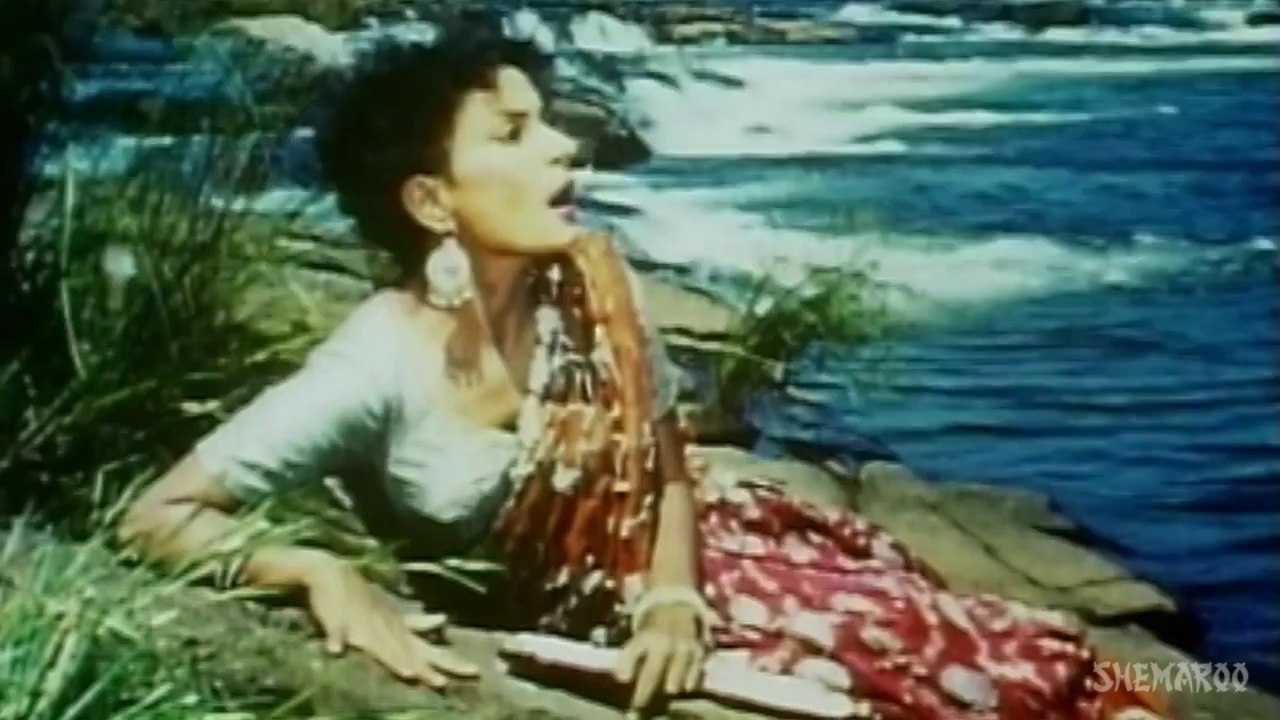 Tujhe Kho Diya Humne