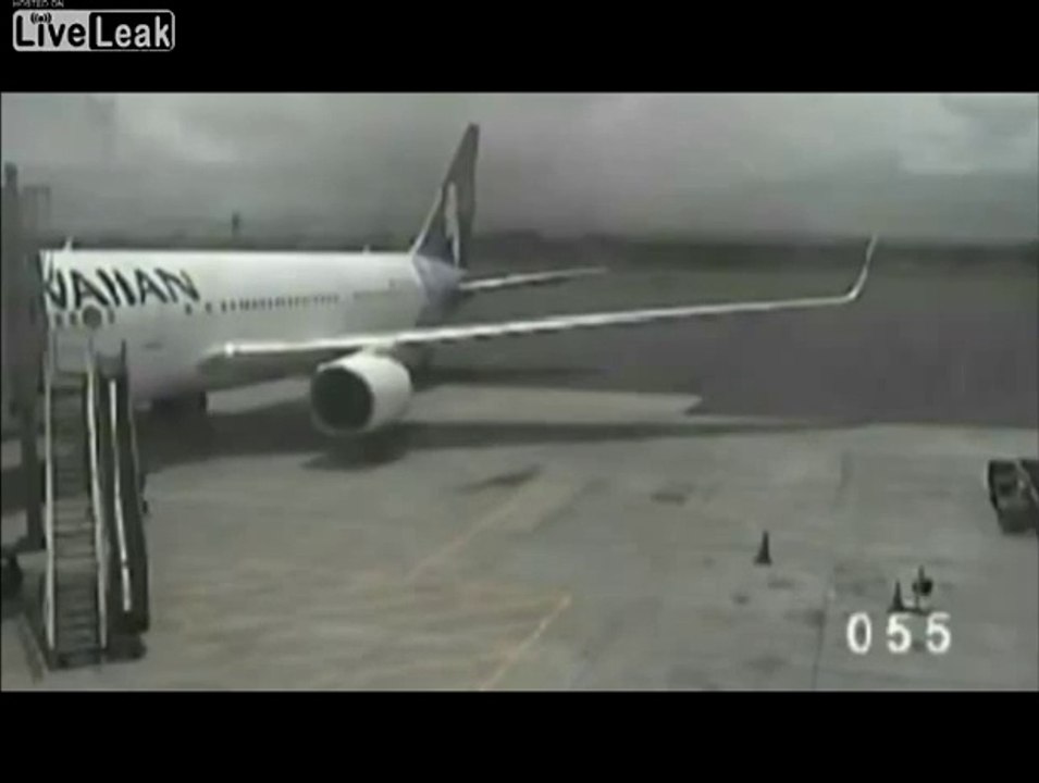 Video Surveillance from the Maui Airport of 15-year-old Stowaway