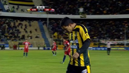 Bolivie - Touche pas au chien !