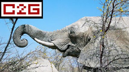 Révoltant : des hackers "piratent" des animaux protégés