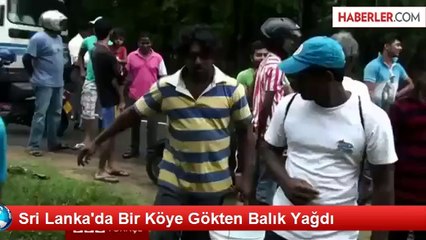 Sri Lanka'da Bir Köye Gökten Balık Yağdı