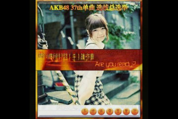 2014年選挙応援ポスター