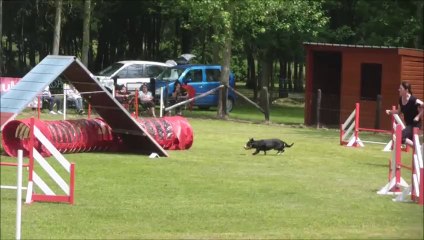 Maryvonne & Eidi Concours de l'ASAEC