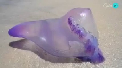 Beshak ALLAH her chez pe qaadar hy