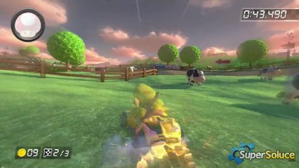 Coupe Carapace : Prairie Meuh Meuh