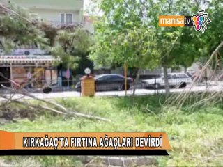 KIRKAĞAÇ'TA FIRTINA AĞAÇLARI DEVİRDİ