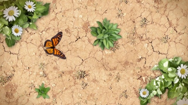 2014 Nissan Versa Note near Lakeland -Universal Nissan in Orlando