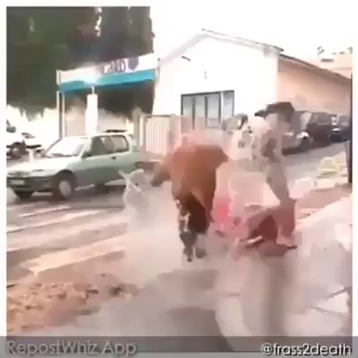 very funny video