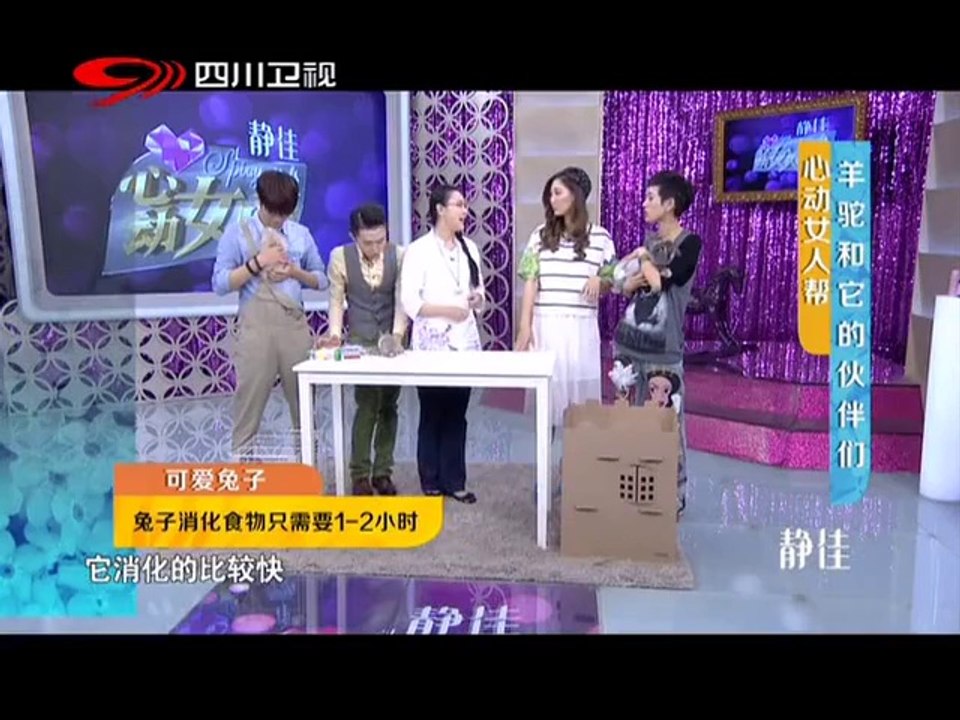 20140531 羊驼和它的伙伴们