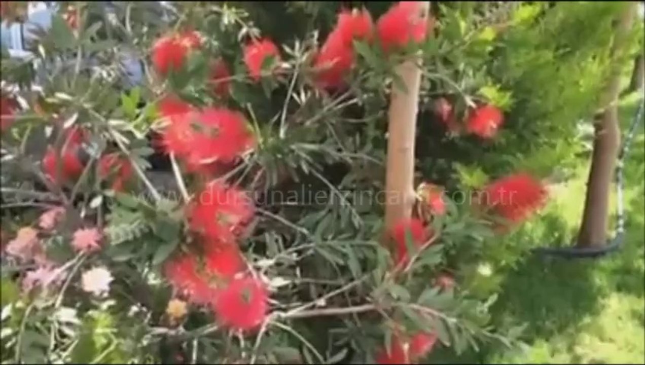 video 6