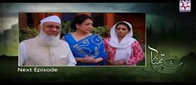 Shaher e Tamana Next Episode 69 (1 June 2014) Full Promo On HUM SITARAY Drama