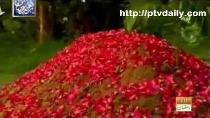 Dunya Ke Ae Musafir Manzil Teri Qabar Hai - Naat By Abdur Rauf Roofi