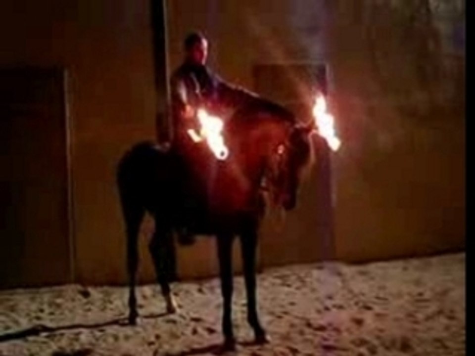 Les chevaux de feu