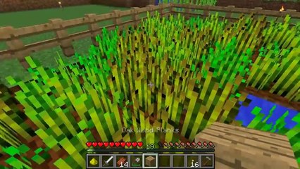 Tackle⁴⁸²⁶ Minecraft (1.7.9) #8 - สร้างบ้านมาตรฐาน AEC - YouTube