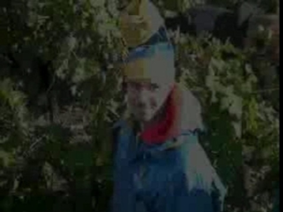 Vendanges 2oo4