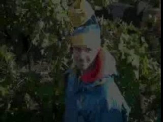 Vendanges 2oo4