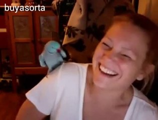 Funny bird speakingand CuteGirl