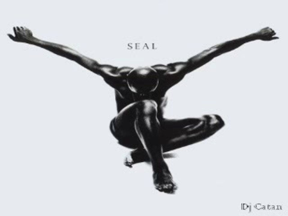 Seal - Crazy [Remix]