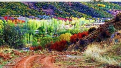 ERDAL ERZİNCAN-NAZLI YARA VARAM DEDİM