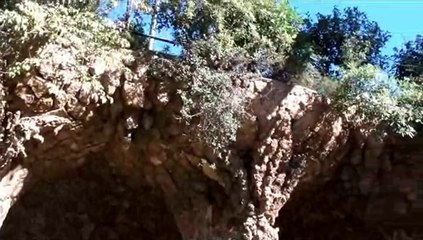 7バルセロナ観光_wmv