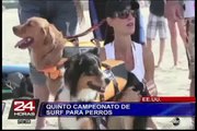 California celebró la quinta edición del campeonato de surf para perros