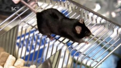 Discovery Science:Era solo fantascienza 1x02 Superuomini