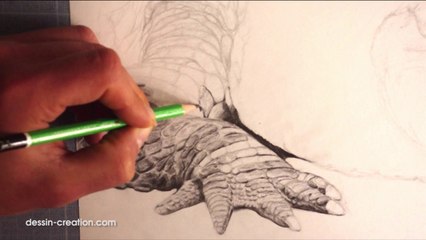 Dessiner les animaux-Comment dessiner un crocodile-la peau et les écailles