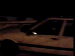 Bordel en mode canine