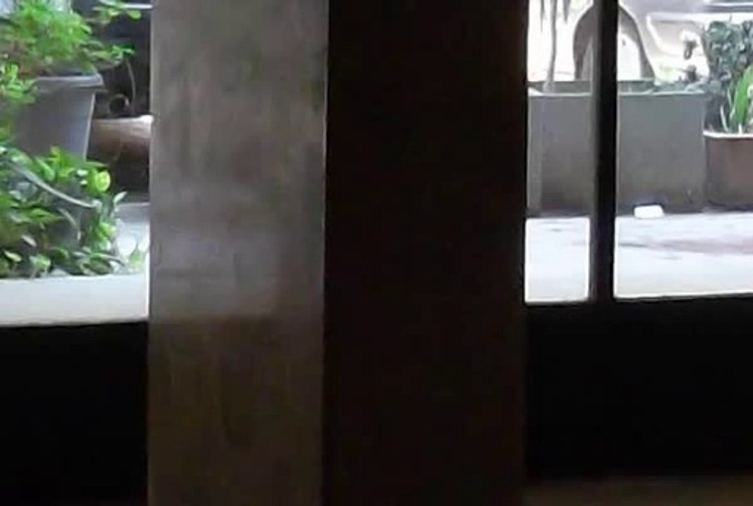 Amazing Apartment in Zamalek sunny