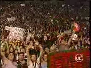 LUCERO MR. AMIGO 2006 -ROCHGUE