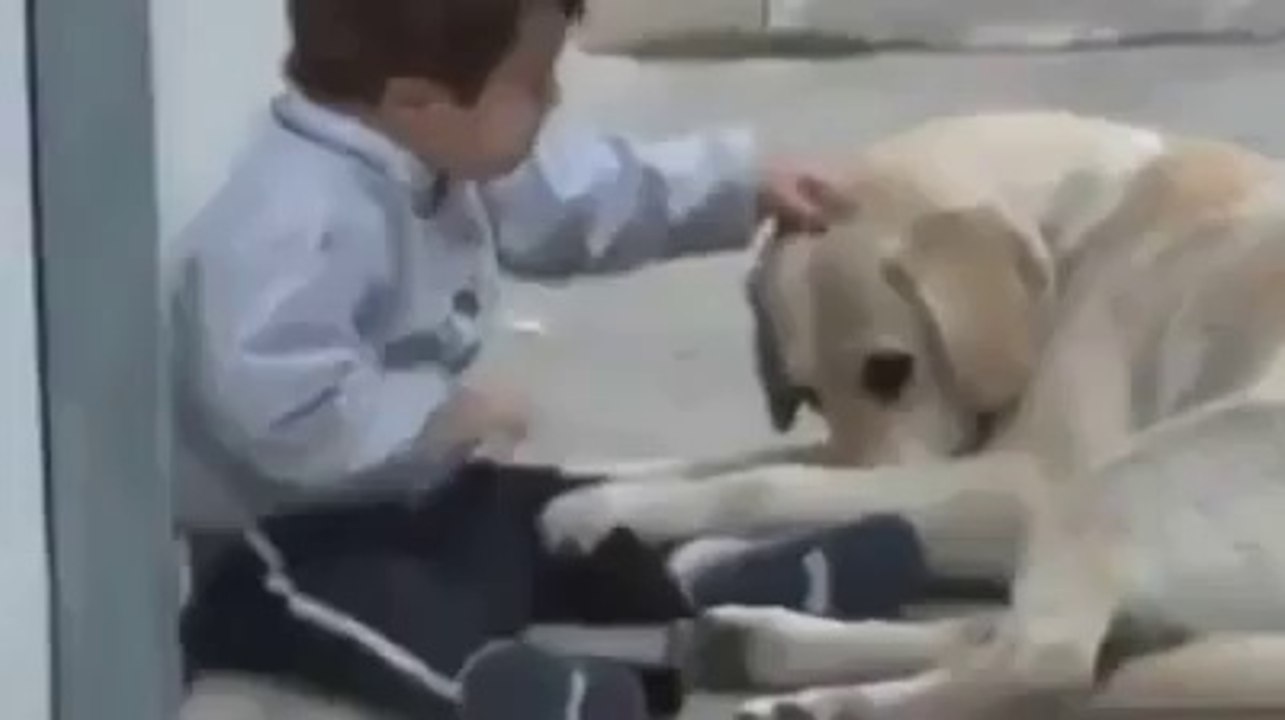 A Great Love
