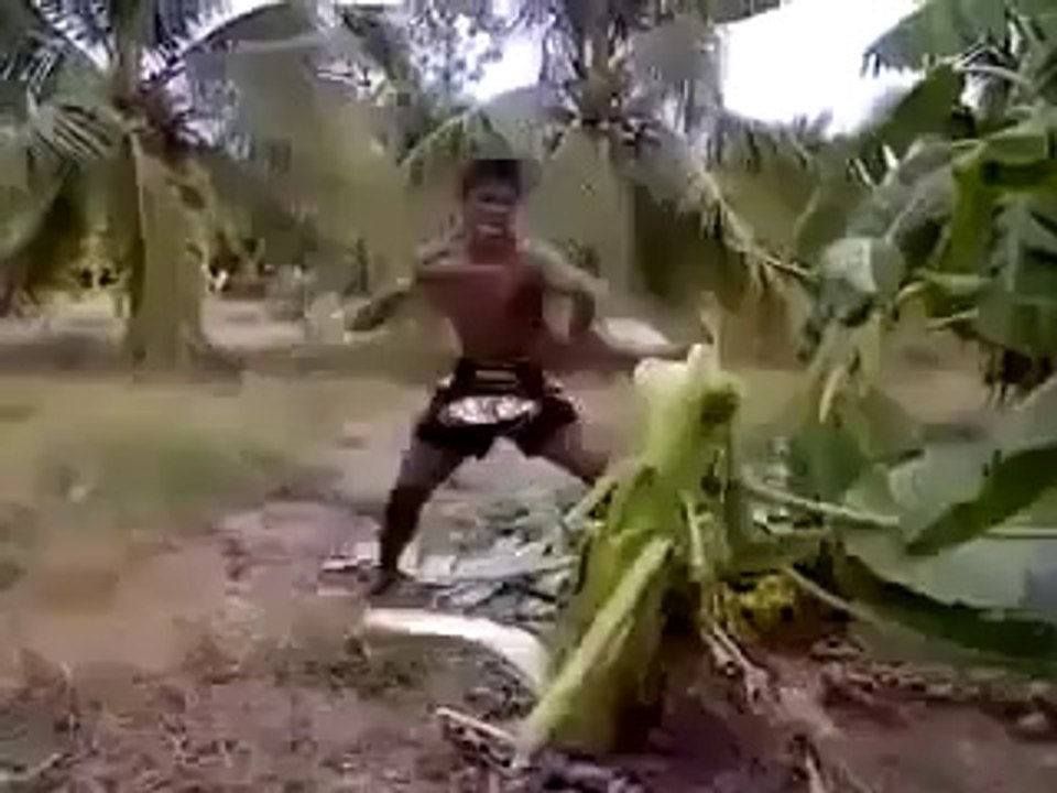 BRUCE LEE ACTION