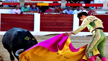 Galería fotográfica con música