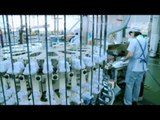 Srixon - The Manufacturing of XXIO Equipment