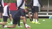 Hogdson and Gerrard talk ahead of Poland clash