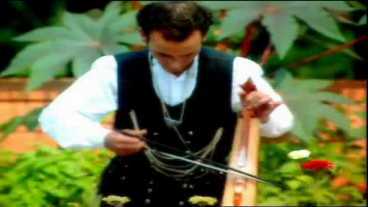 Hülya POLAT-Papakudi