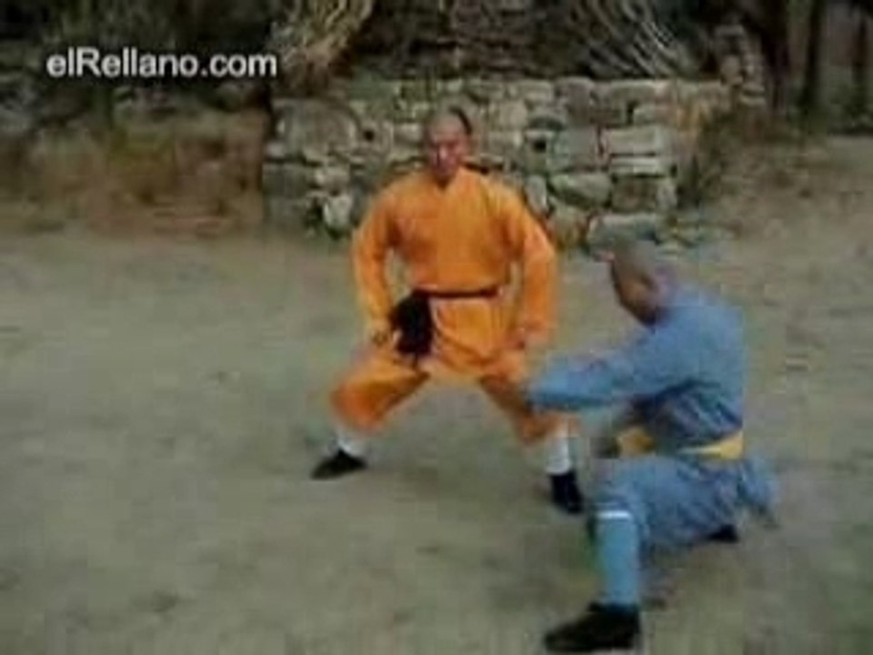 Tecnicas_Shaolines