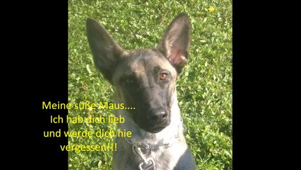 R.I.P. Be Aware Funky - We miss you!