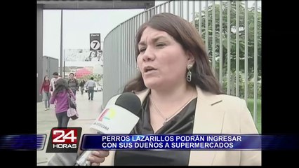 TC resuelve que perros guía pueden ingresar con ciegos a supermercado