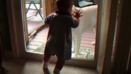 Cute Dogs And Adorable Babies Compilation