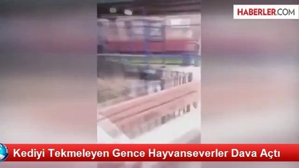Kediyi Tekmeleyen Gence Hayvanseverler Dava Açtı