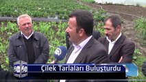 Diyarbakır-Batman-Siirt Kalkınma Projesi kapsamında Güneydoğu’dan çiftçiler Trabzon’a gelerek çilek tarlalarını ziyaret etti.