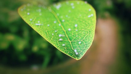 Akkuyu NGS Mersin Bilgilendirme Merkezi Tanıtım Filmi