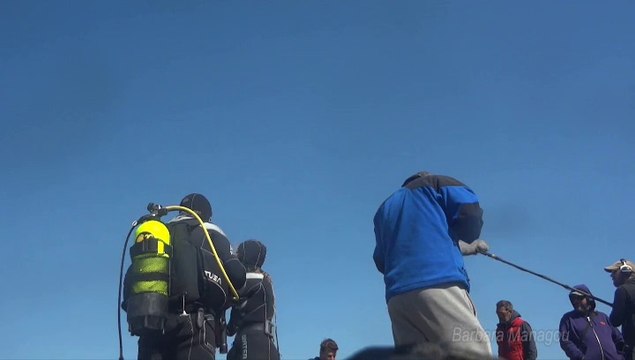 commercial diving Barbara Managou - shots TV channel movie in the shipyards