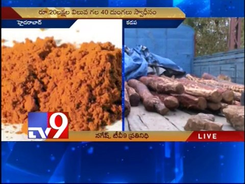 Red Sandalwood worth 20 crores seized in Kadapa