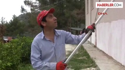 Fedakar Öğretmen Okulu Boyadı