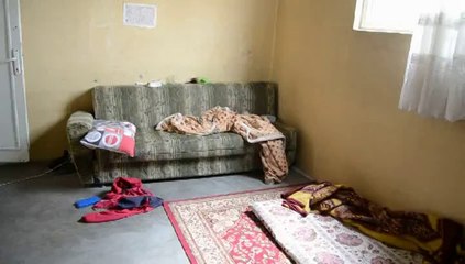 EV KIRASINI ÖDİYEMEDİ CANINA KIYMAK İSTEDİ